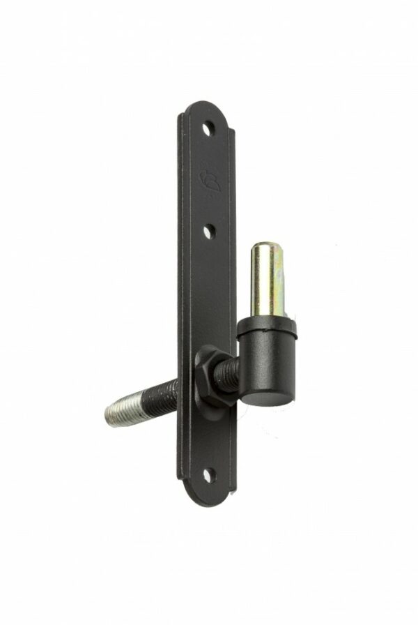 ADJUSTABLE PLATE PINTEL ROUGH BLACK - Image 2